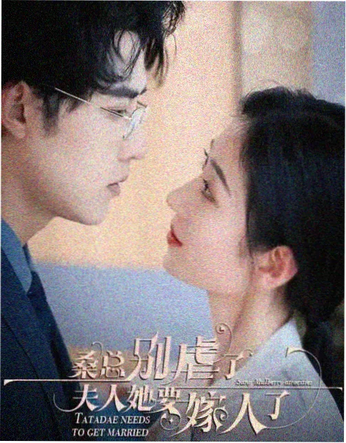 听辨图鉴词条卡片墙示意
